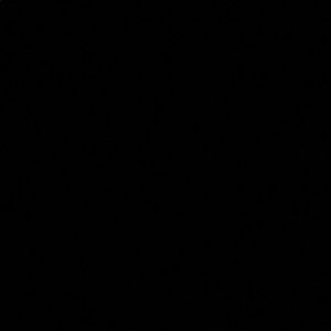 Meet your Posher, Ashlyn